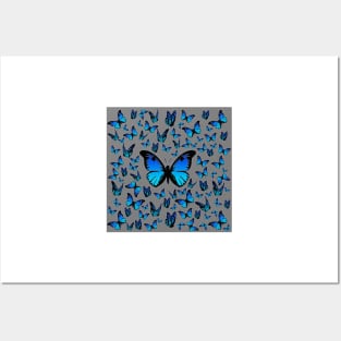 blue butterflies Posters and Art